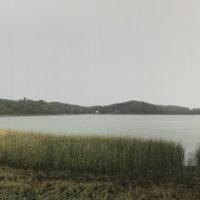 Bare Cove Park
