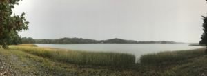 Bare Cove Park Hingham