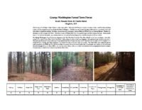 George Washington Forest