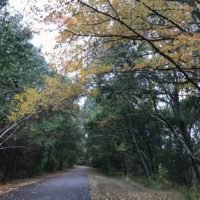 Bare Cove Park