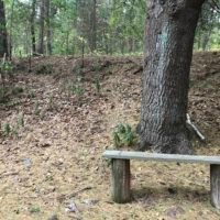Bare Cove Park