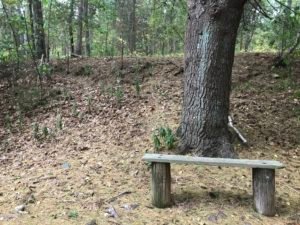 Bare Cove Park Hingham