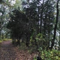 Bare Cove Park