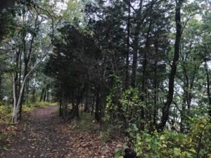 Bare Cove Park Hingham