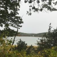 Bare Cove Park