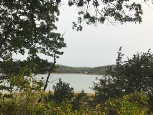 Bare Cove Park Hingham