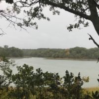 Bare Cove Park