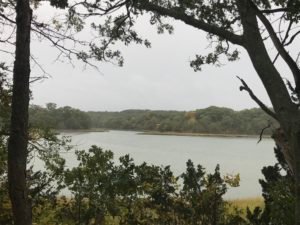 Bare Cove Park Hingham