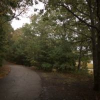 Bare Cove Park