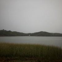 Bare Cove Park
