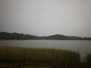 Bare Cove Park Hingham