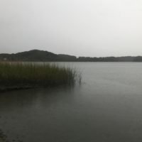 Bare Cove Park