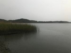 Bare Cove Park Hingham