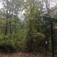 Bare Cove Park