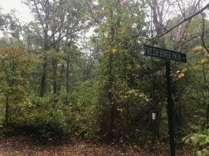 Bare Cove Park Hingham