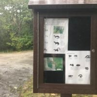 Bare Cove Park