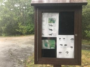 Bare Cove Park Hingham