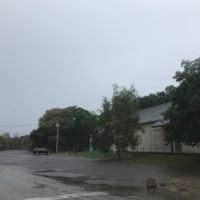 Bare Cove Park
