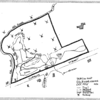 Eel River Woods