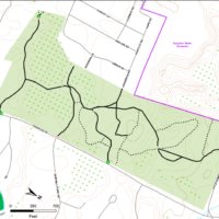 George Washington Forest