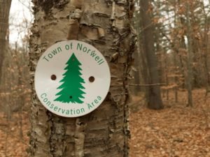 Donovan Trail Norwell