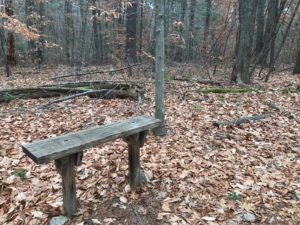 Donovan Trail Norwell