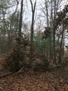 Donovan Trail Norwell