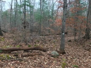 Donovan Trail Norwell