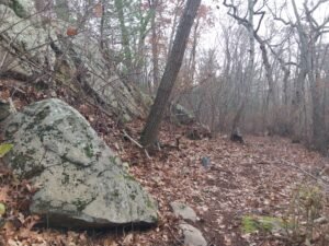 Hubbell Trail Scituate