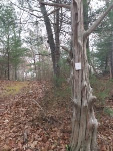 Hubbell Trail Scituate