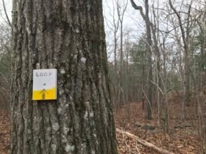 Hubbell Trail Scituate