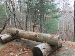 Hubbell Trail Scituate