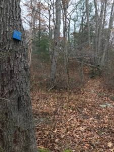 Hubbell Trail Scituate