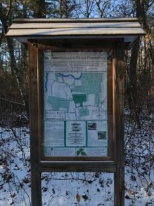 Corn Hill Woodland - Marshfield