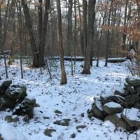 Cornhill Woodland