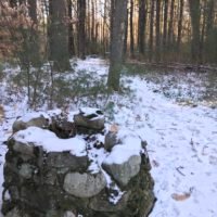 Cornhill Woodland