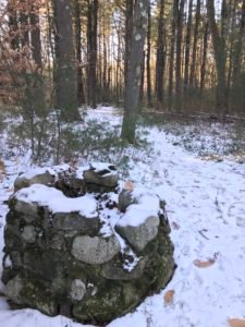 Corn Hill Woodland - Marshfield