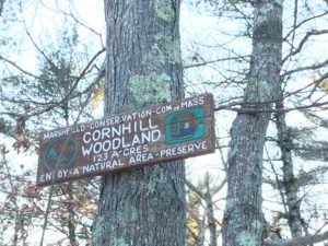 Corn Hill Woodland - Marshfield