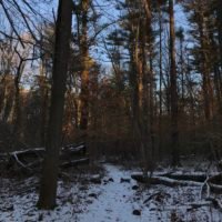 Phillips Farm Preserve