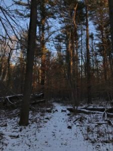 Philips Farm Preserve - Wildlands Trust - Marshfield