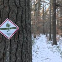 Phillips Farm Preserve