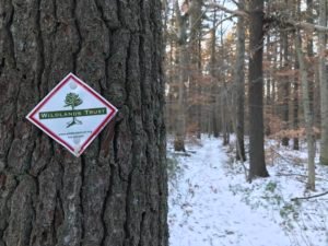 Philips Farm Preserve - Wildlands Trust - Marshfield