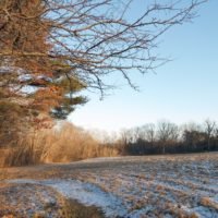 Phillips Farm Preserve