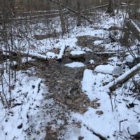 Phillips Farm Preserve