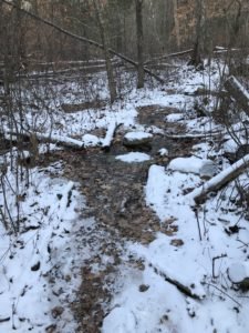 Philips Farm Preserve - Wildlands Trust - Marshfield