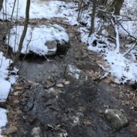 Phillips Farm Preserve