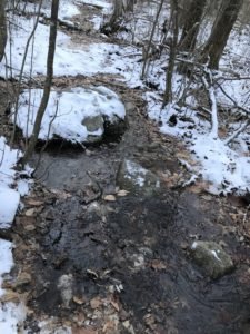 Philips Farm Preserve - Wildlands Trust - Marshfield