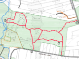 Cornhill Woodland