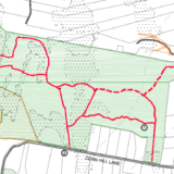 Cornhill Woodland