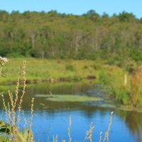 Tidmarsh